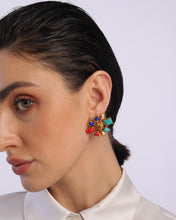 Load image into Gallery viewer, Provenance Earrings
