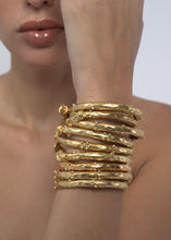 Load image into Gallery viewer, Elaris Bangles
