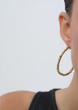 Load image into Gallery viewer, Gilded Hoops
