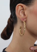 Load image into Gallery viewer, Gilded Hoops
