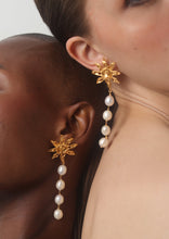 Load image into Gallery viewer, Marybeth Earrings
