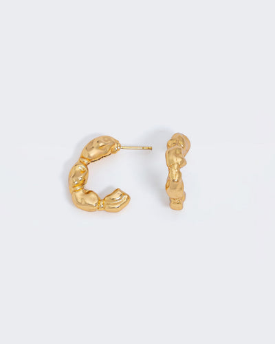 Meteorite Earrings