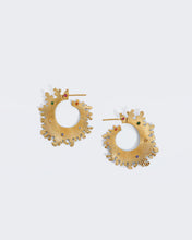 Load image into Gallery viewer, Aniela Earrings
